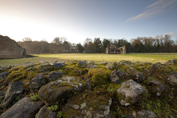 Moss covered stone in foreground, grass expanse with abbey ruin in background. Sunny winter day.