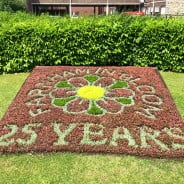 Flowers planted to spell out Farnham in Bloom 25 years