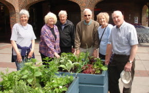 Three females and three males standing behind planters.