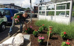 A male planting flowers into a flower bed.