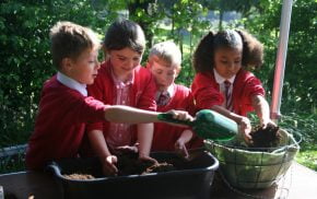 Four school children plant a hanging basket