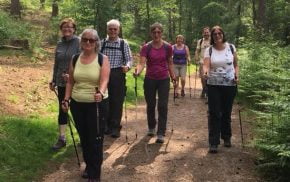 Group of people walking in the woods.