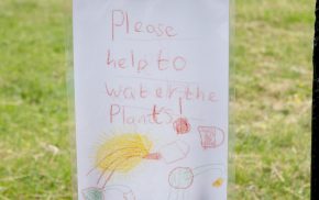 A4 poster drawn by a child saying Please help to water the plants.