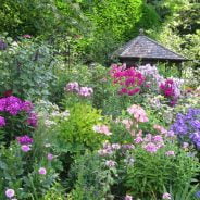 Flower bed with pink and purple flowers.