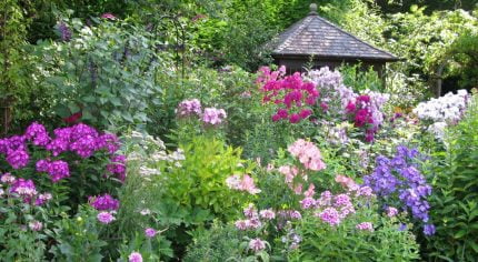 Flower bed with pink and purple flowers.