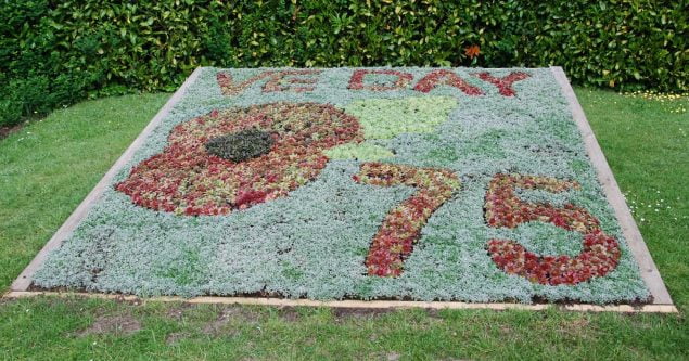 Carpet bed made from flowers in shape of a red poppy and the number 75