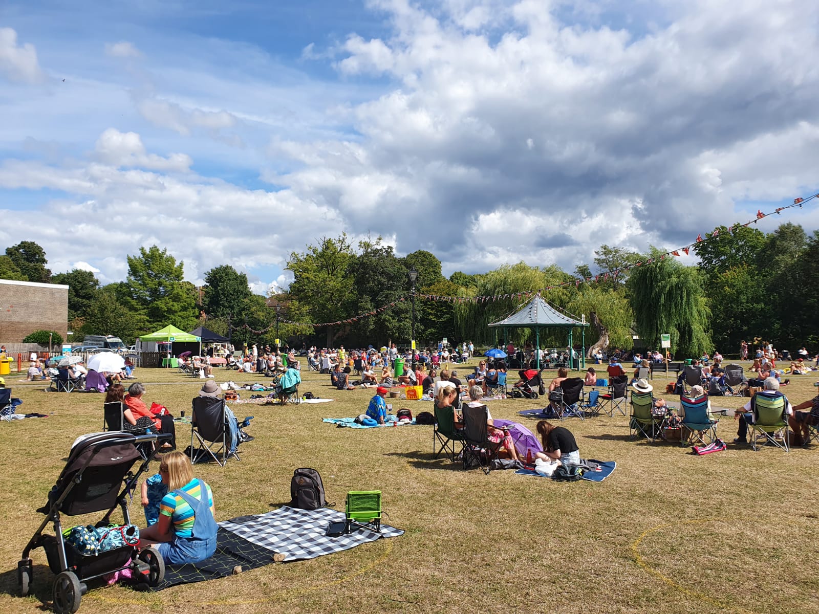 Music in the Meadow 2020 - Farnham Town Council