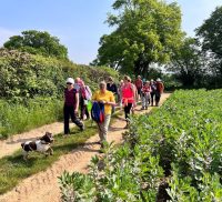 Group of people walking along a path